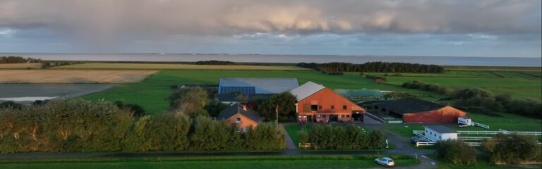 Hinrichsens Farm Distillery präsentiert mit „De Leenger Wai“ ein Programm für Whiskyenthusiasten