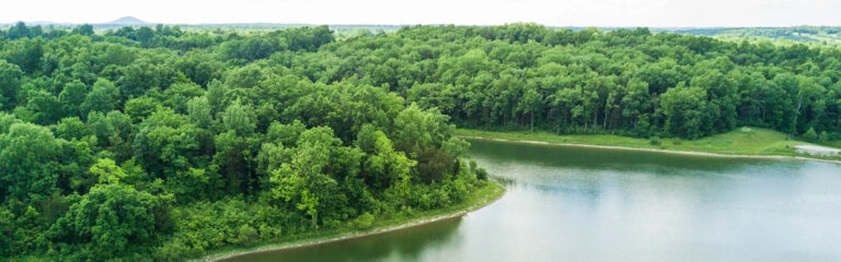 Für die Aufforstung der Appalachen: Suntory Group und Bosland Growth mit gemeinsamer Initiative