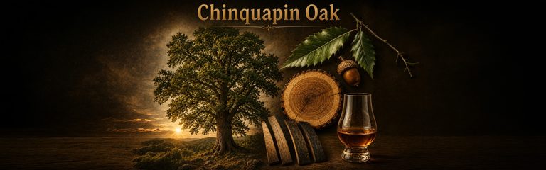 Whisky & Chemie – Ein Blick hinter die Aromen (Teil 10): Chinquapin Oak – Nicht jede Eiche schmeckt gleich